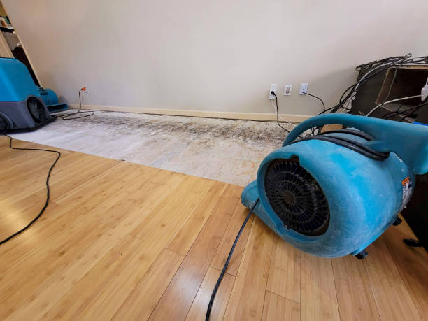 Professional Structural Drying technician working in Narberth, PA